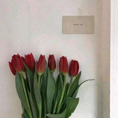 卡战三国游戏